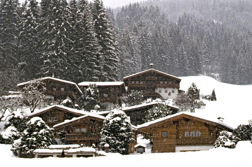 Ferienhaeuser Reither Almen Reith im Alpbachtal Rom bilde