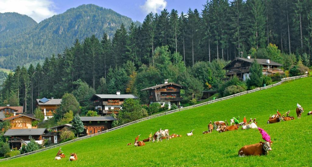 Ferienhaeuser Reither Almen Reith im Alpbachtal Rom bilde